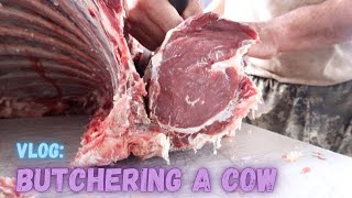 Butchering a cow | Hamakua Homestead | Vlog