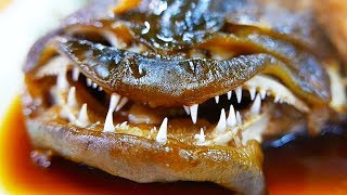 Japanese Street Food - BLACK SADDLE GROUPER Fish Soup Sashimi Japan