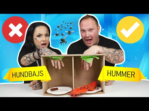 STOPPA INTE HANDEN I FEL HÅL - HUNDBAJS?!