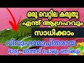 വെറും 2 വെറ്റിലയിൽ പിണക്കം മാറി 21 ദിവസ�