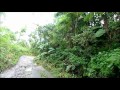 St. Lucia - Mount Gimie Hike