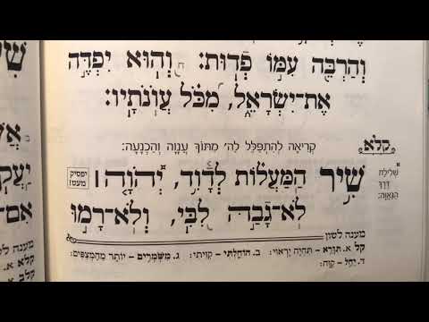 Tehillim psalm 131