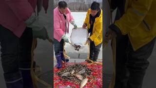 Download lagu Ok-ZMZ fishing part fourty 4. #fishing #ytshort fish already killed mp3