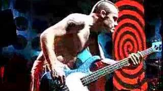 Red Hot Chili Peppers US Tour 2000 Sir Psycho