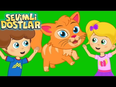 Kedi Miyav Dedi ve Sevimli Dostlar ile 75 Dakika Çizgi Film Çocuk Şarkıları