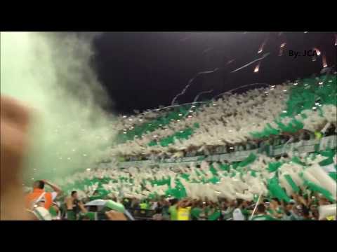 "Atlético Nacional 5 - 1 Deportivo Cali.  Salida y recibimiento del equipo." Barra: Los del Sur • Club: Atlético Nacional • País: Colombia