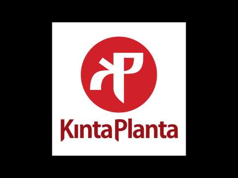 Kinta Planta - Volaré