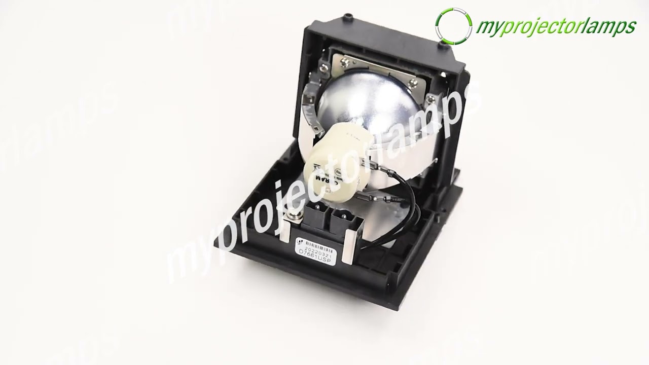 Optoma DY8901 Projector Lamp with Module