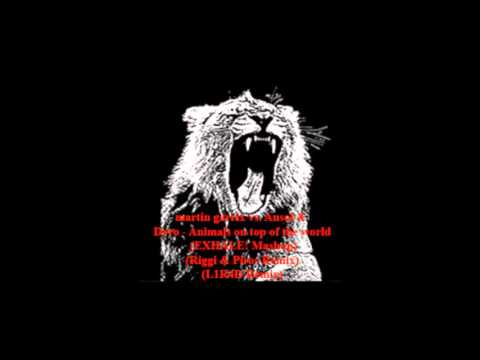 martin garrix vs  Ansol & Dyro   Animals on top of the world(L1R4D Mashup)
