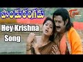 Pandurangadu Hey Krishna Mukunda Murari Bala Krishna Sneha Devotional Song