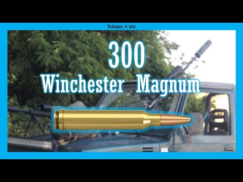 Le 300 Winchester Magnum: un calibre mal utilisé