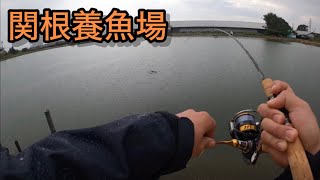 【関根養魚場】夏季休業明けの管理釣り場が超楽しかった！