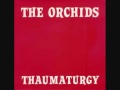 The Orchids - I Was Just Dreaming