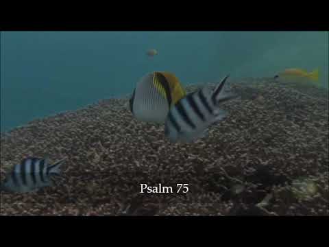 Psalm 75