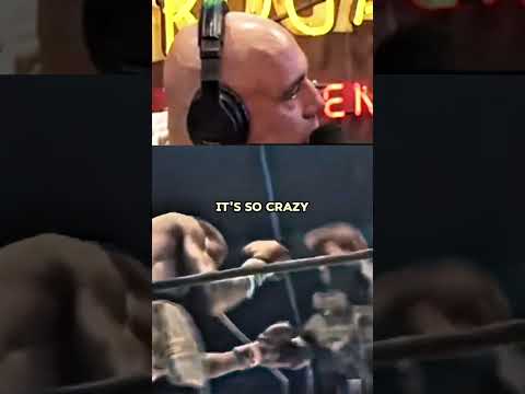 Joe Rogan on Boxer Who Died in the Ring