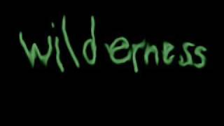 Wilderness - Joy Division live in Preston, 1980