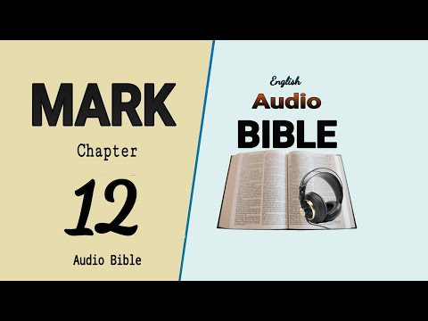 Mark 12: 1 - 44 (Jesus spake in Parable)