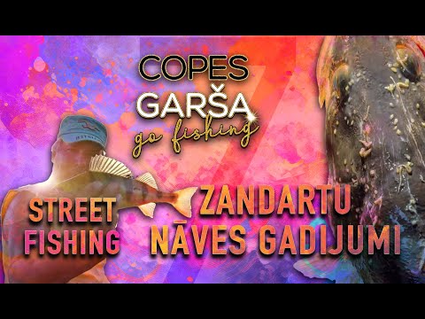 COPES GARŠA - #4 ZANDARTU NĀVES IEMESLI UN VAKARA COPE