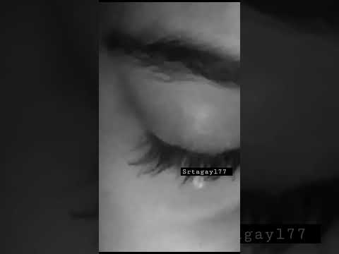 Սառած աչքեր…🕸️