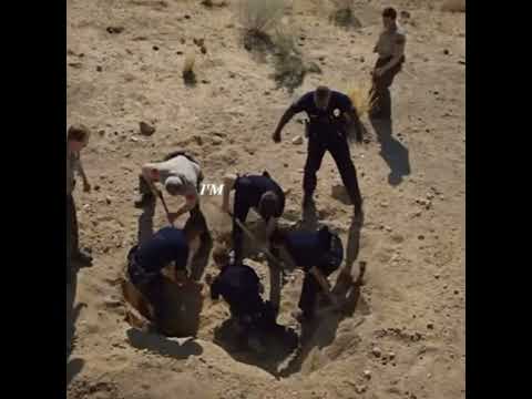 Chenford. #rookie #chenford #chenfordedit #timbradford #lucychen