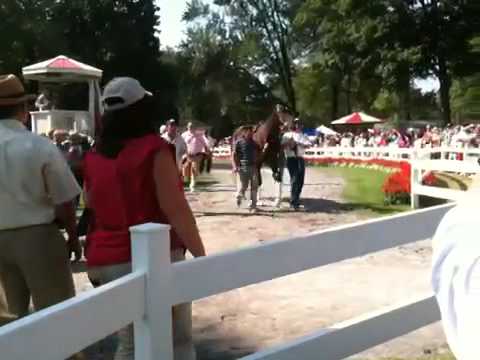 Rachel Alexandra stroll at Saratoga