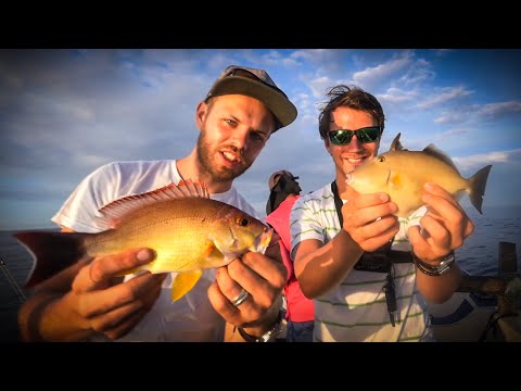 HOW MANY SPECIES CAN WE CATCH? 🇱🇰🐠 Galant vs Hajmat (Sri Lanka)