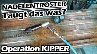 Der billigste Nadelentroster! | Was taugt er? | Kipper-Deichsel instand setzten | Bruns | Mr. Moto