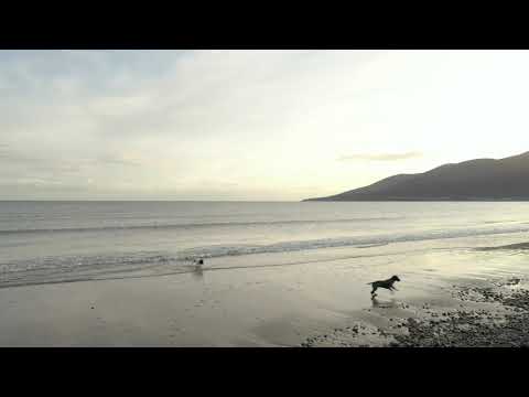 murlough beach fun with the dogs and mavic 2 pro