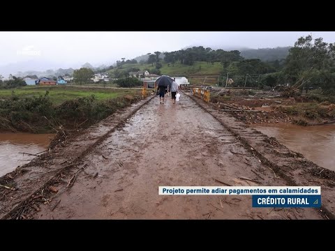 Agricultores atingidos por desastres climáticos têm dívidas prorrogadas