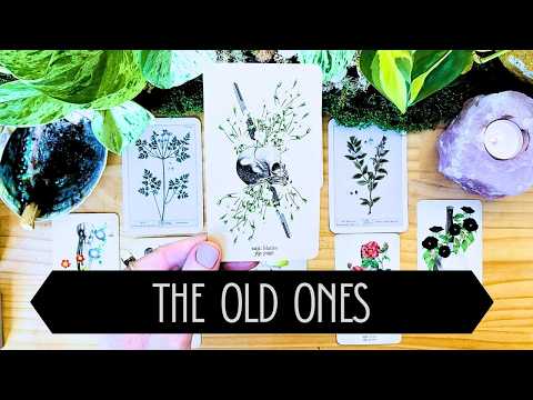 The Ancients want to speak to you 🫵