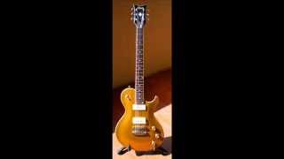 Video thumbnail for SCHECTER SOLO 6 GOLD LIMITED EDITION.wmv by diumafe