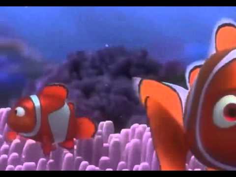 'Finding Nemo' at the Philadelphia Flower Show