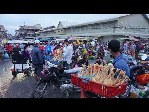 Morning Food Market Scene @Chhbar Ampov - Early Morning Street Food Near Chhbar Ampov Bridge