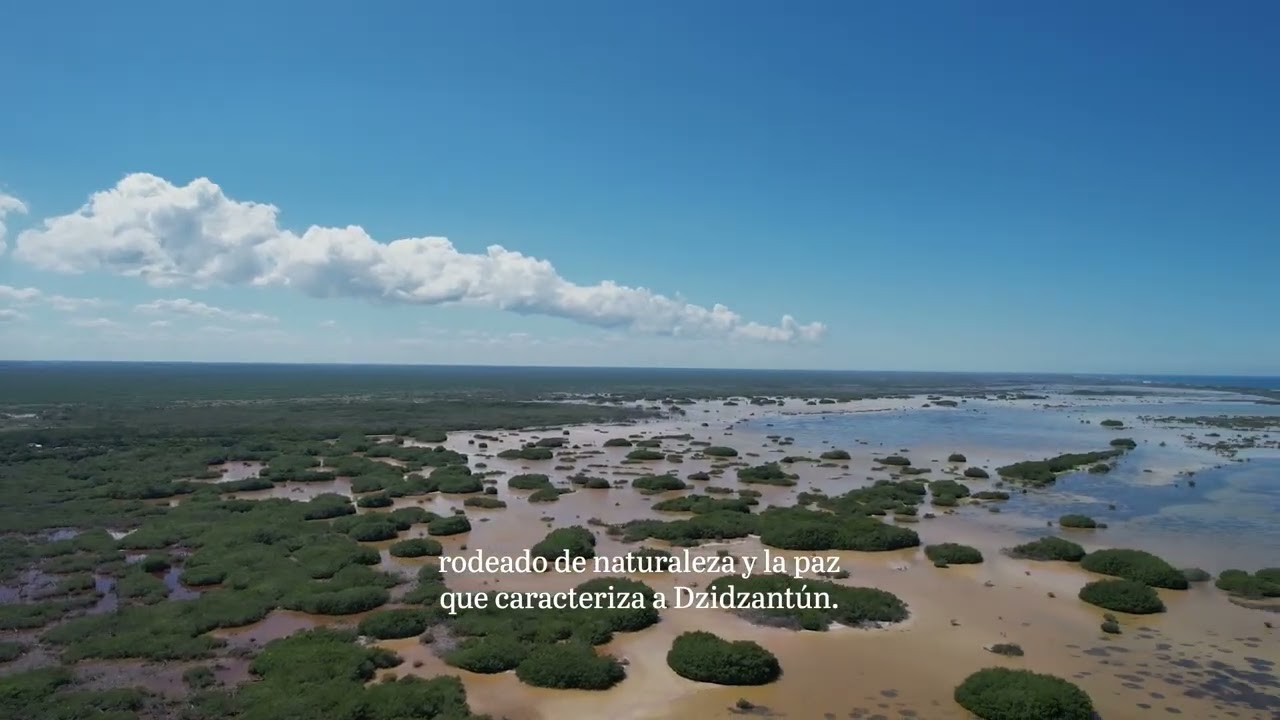 Amaranto entrega de proyecto #ALZIA