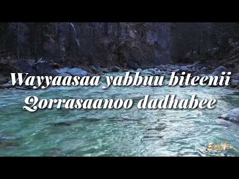ABBABAA ABBASHUU - BAKKANIISA SOOFANII - Lyrics