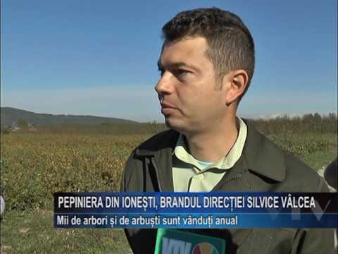 Pepiniera din Ionesti, brandul Directiei Silvice Valcea