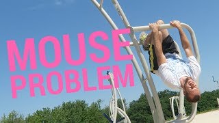 Mouse Problem