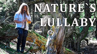 Nature's Lullaby - Native American Flute Music and Birdsong