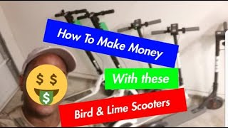 Bird and Lime Electric scooters: How to make money by charging them
