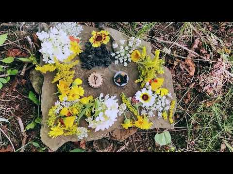 Ansuz Society - Wunjo Galdr