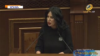 «Փաշինյանը մինչև չհրահրի քաղաքացիական բախումներ, չի հեռանա». Նաիրա Զոհրաբյան