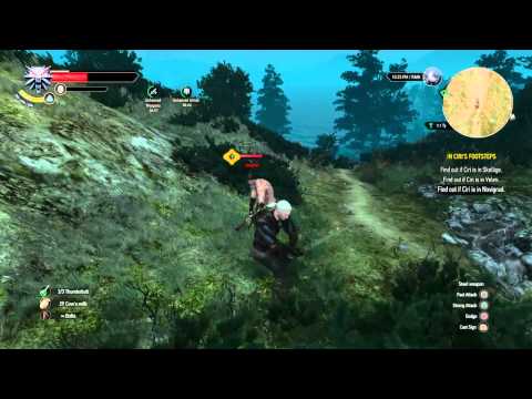 The Witcher 3: Wild Hunt is badass little side quest.