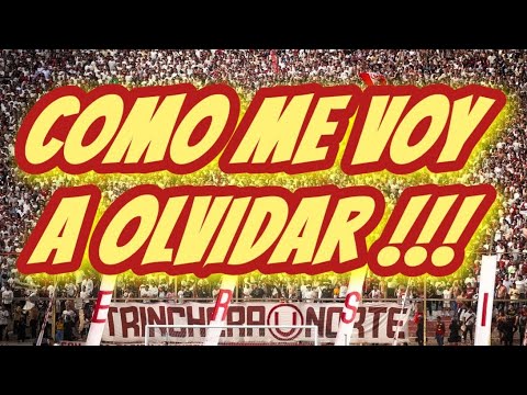 "¿Cómo me voy a olvidar?" Barra: Trinchera Norte &bull; Club: Universitario de Deportes