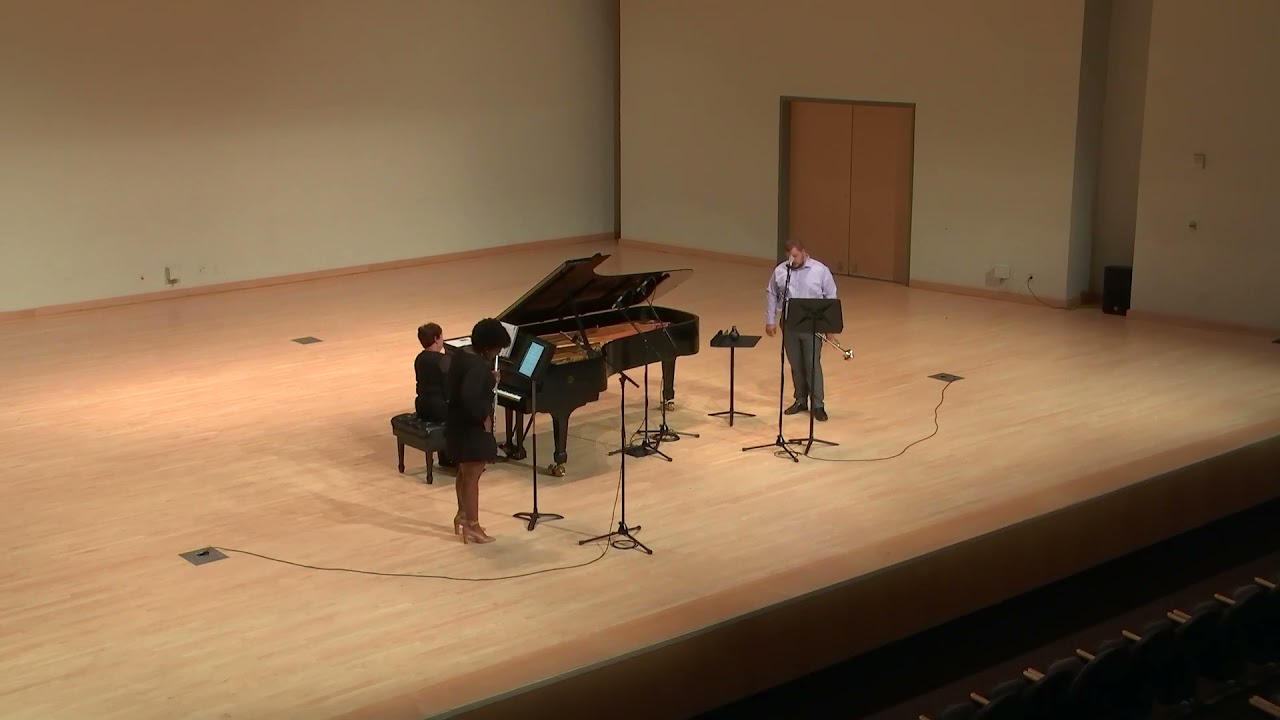 Promotional video thumbnail 4 for Classical Flute/Piccolo Player
