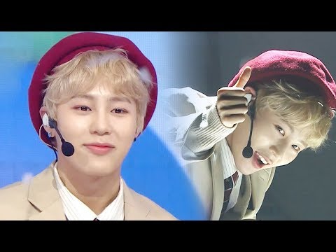 Ha Sung Woon - Bird [SHOW CHAMPION Ep 306]