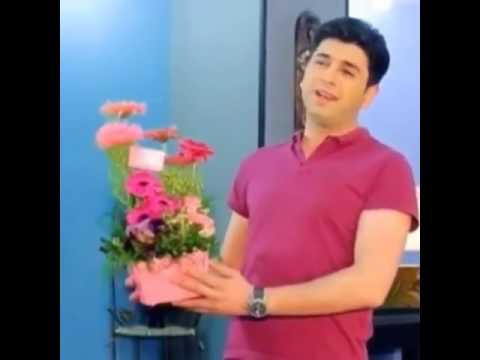 Full House gites hima inch kuzeyi