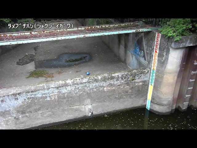 溜淵橋映像監視局