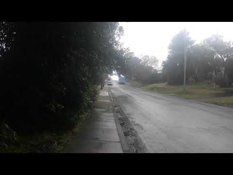 Transdev 8646 Mercedes O405NH Bustech TBA on 599 to Berowra Heights