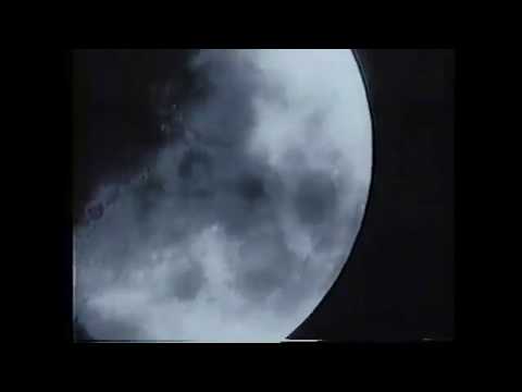 DK Domino - Dark Chonga