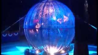 Our trip to the Circus